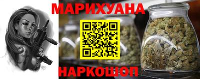 индика Лесосибирск